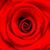 Ladonna Wilson's profile image
