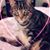 Ilene Ellis's profile image