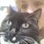 Lauren Nelson's profile image