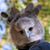 Darin Jass's profile image