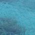 THOMAS H.'s profile image