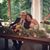 Kate Swahn's profile image