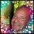 Michael Digeronimo's profile image