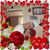 Faye Gerlach's profile image