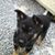 Bruce W Austin's profile image