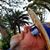 Paul Clarke's profile image