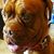 Kortnee Schnell's profile image