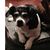 Chuck Hulett's profile image