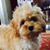 Lucy Lou's profile image