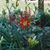 Debbie Vanderburg Ryan's profile image
