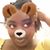 Ash Fayton's profile image