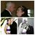 Rob Whitaker's profile image
