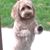 Nancy Kasprzak's profile image