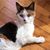 Ina Purvins's profile image
