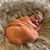 Holly Wilson Lang's profile image