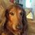 Debbie McCombs's profile image