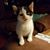 Vivian Courtney Chism's profile image