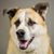 Susan Wagner's profile image