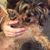 Lonnie-Doreen Hobson's profile image