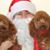 Donna M. Shepherd's profile image
