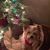 Joan Charlie Crabtree's profile image