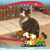 Shari Rutherford West's profile image