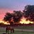Theresa Letellier's profile image
