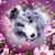 Audrey Neal Blackman's profile image