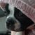 Crisco Christopher's profile image
