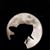 Paul Rainwater's profile image