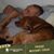 Leroy Michael Palmer's profile image