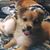 Mark Huesgen's profile image