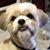 Rosanna Daniel-McKinney's profile image