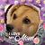 Sandra Anderson's profile image
