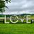 Suzanne Scott Parent Ashbaugh's profile image