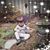 Debra Berthiaume's profile image