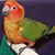 Sandi Mullen's profile image