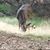 Kim Tedford's profile image