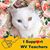 Mary Irene Crowe's profile image