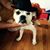 Stephen Neal Sr.'s profile image