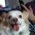 Helen Stockwell's profile image