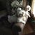 Debbie Whitman's profile image