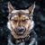 Miles Carlson's profile image