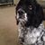 Lacy Iacano's profile image