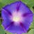Bradley A. Duden's profile image