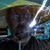 Ryan Johnson's profile image
