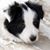 Julie Christine Worsley's profile image