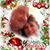 Dawn Marie Schneible's profile image