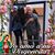 Rosa Olivo's profile image
