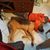 Denise LaDawn Schmidt's profile image